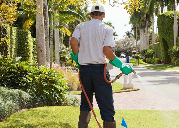 About Dracut MA Pest Control Pros
